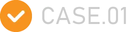 case.01