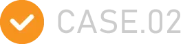 case.02