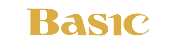 株式会社ベーシック